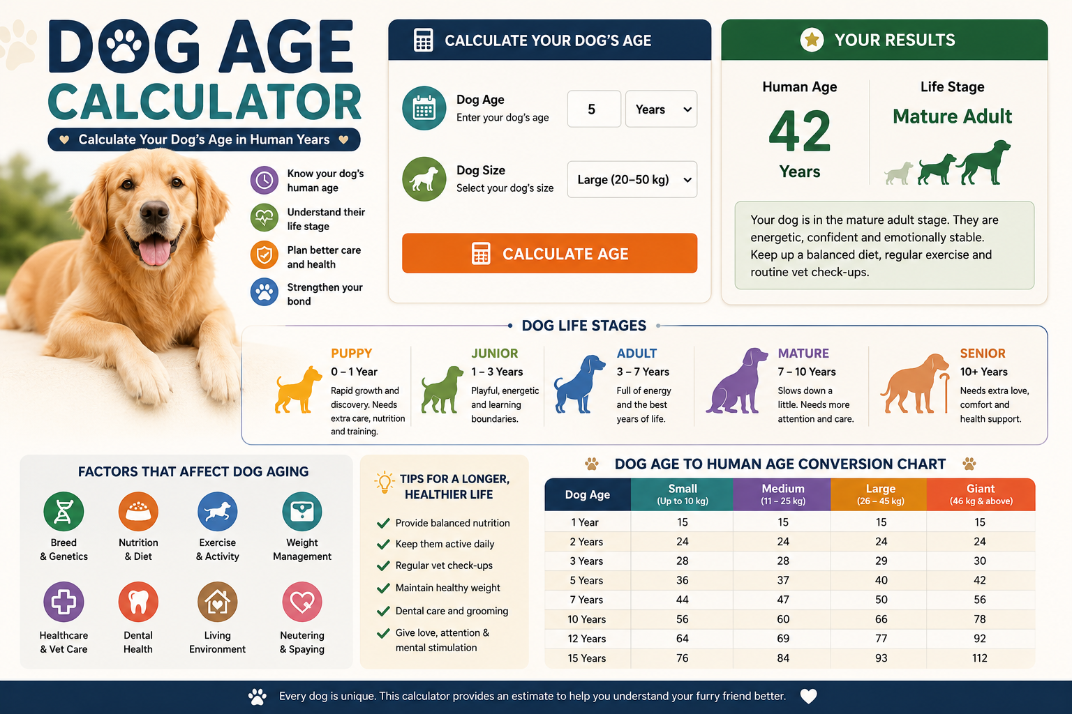 Dog Age Group Calculator