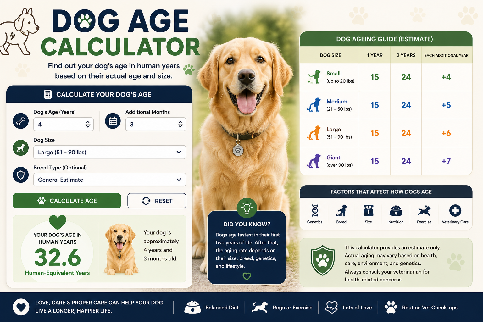 Dog life stages and human-equivalent age comparison